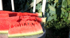 Watermelon - free HD stock video