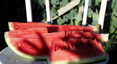 Watermelon_2 - free HD stock video