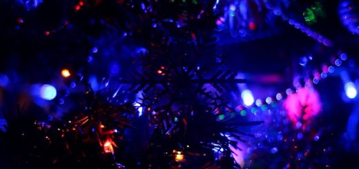 Christmas Tree Close-Up Video Clip