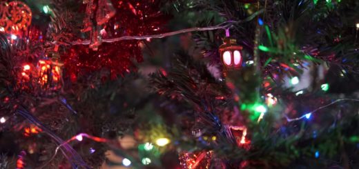 Christmas Tree Lights Twinkling Video Footage