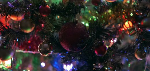 Christmas Tree Video 4k Free Download