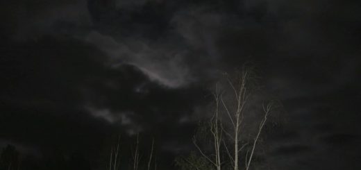dark sky video